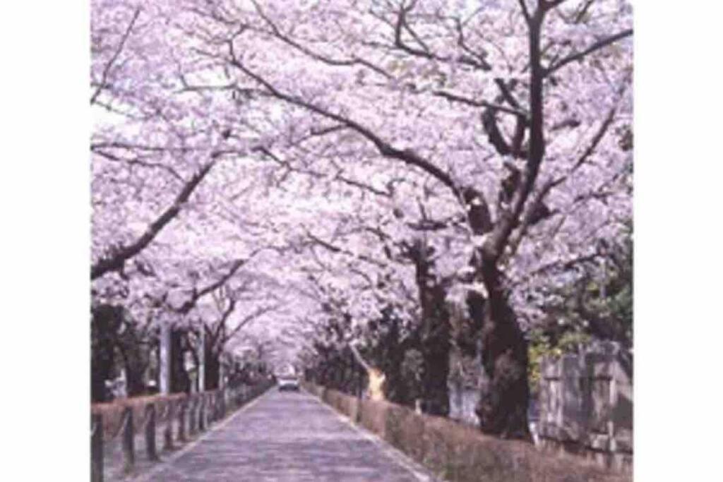 Small Villa Tokyo 渋谷まで2駅10分 青山一丁目駅徒歩3分一軒家ペット歓迎お子様歓迎駐車場あり6人までok Εξωτερικό φωτογραφία